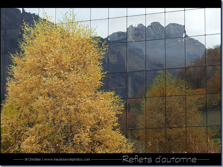 l'automne se reflétant dans une façade vitrée