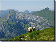 Roc des Tours et Aiguille Verte
