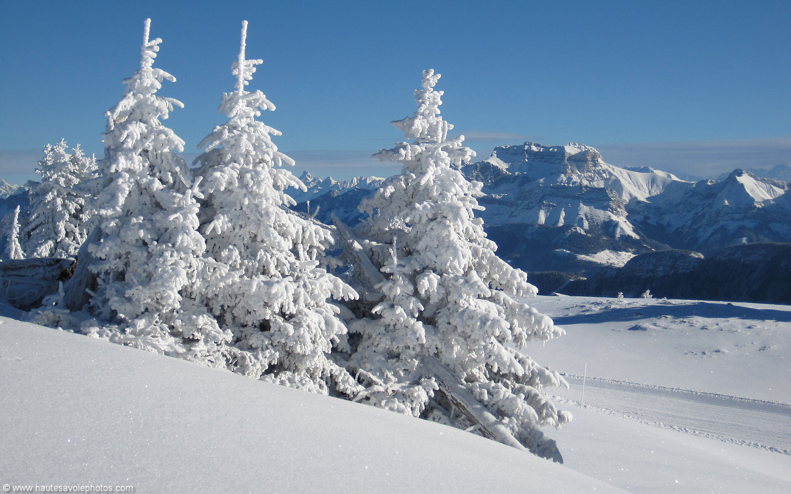 pixels d'un paysage avec des sapins et la Tournette sous la neige ...