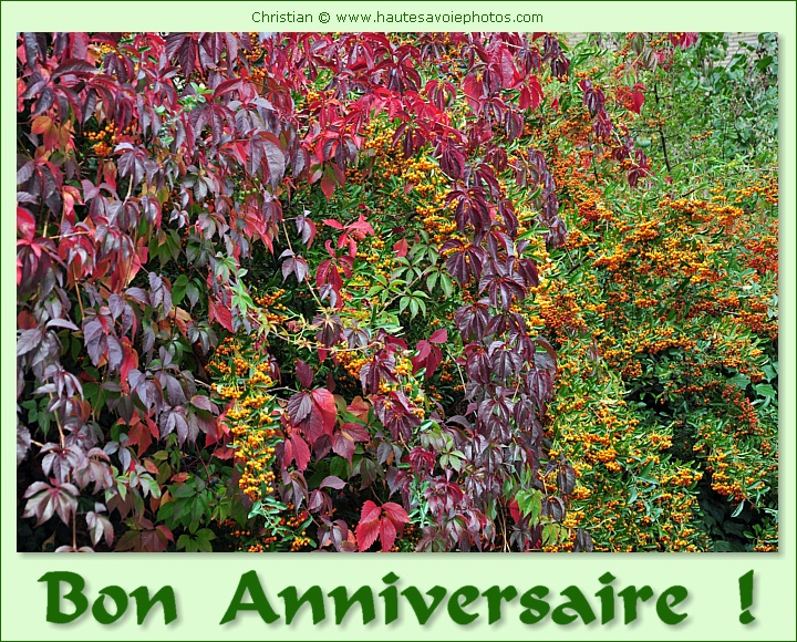 Bon Anniversaire avec des feuilles