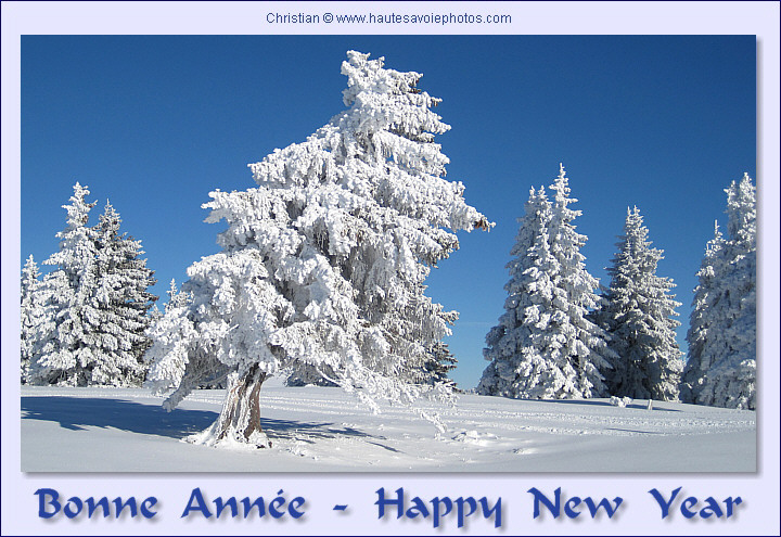 Carte de vœux / e-card for wishes