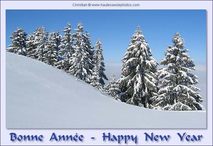 Carte de vœux / e-card for wishes