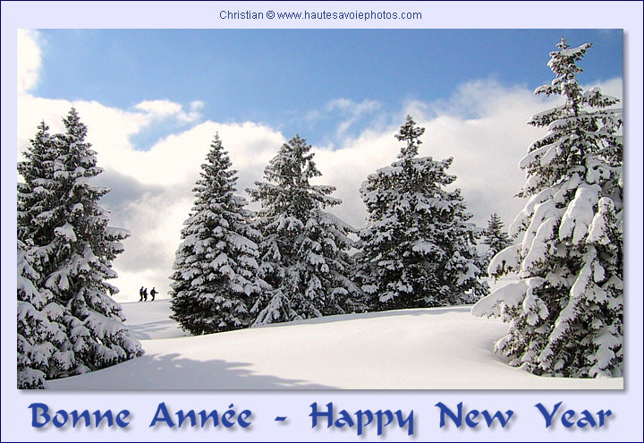 Carte de vœux / e-card for wishes