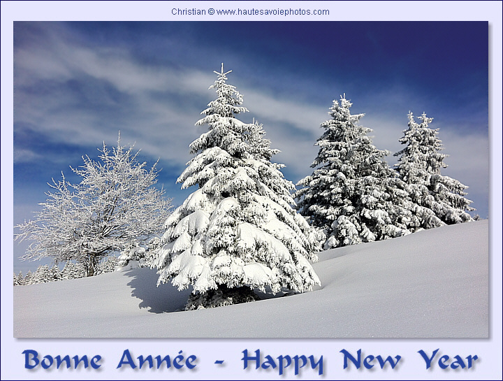 Bonne Année - Sapins au Semnoz
