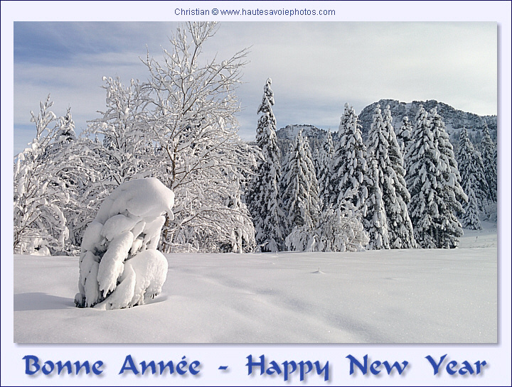 Bonne Année - Plateau des Glières