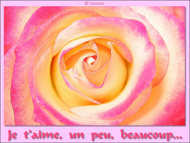 Je t'aime