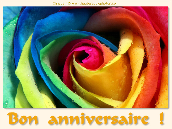 Bon anniversaire - rose colorée
