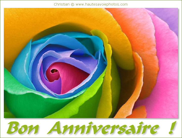 Joyeux anniversaire ! - Page 22 Carte_anniversaire_rose_multi