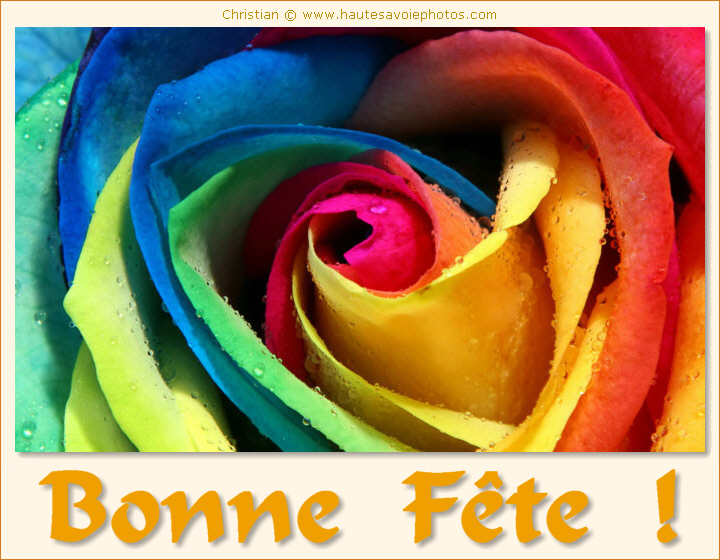 Bonne Fête - Rose