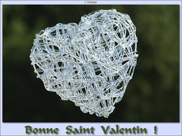 Carte Saint Valentin