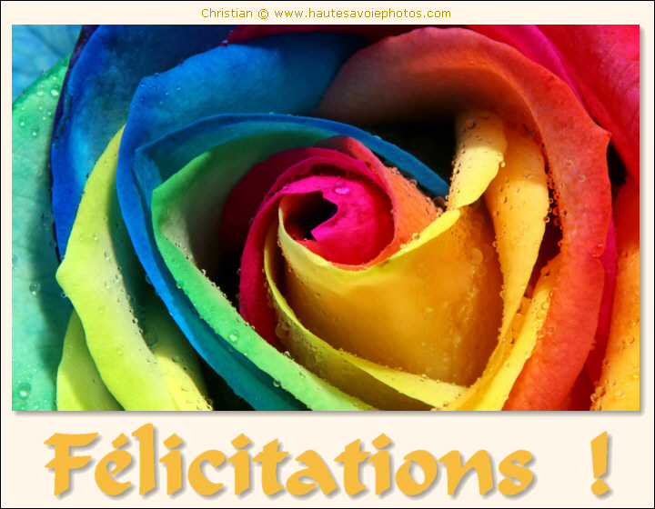 Félicitations - carte colorée
