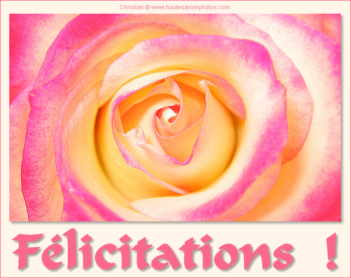 Félicitations - carte rose
