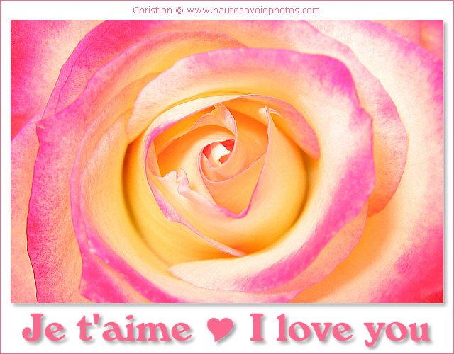 Je t'aime - I love you