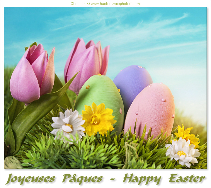 Joyeuses Pâques - Happy Easter