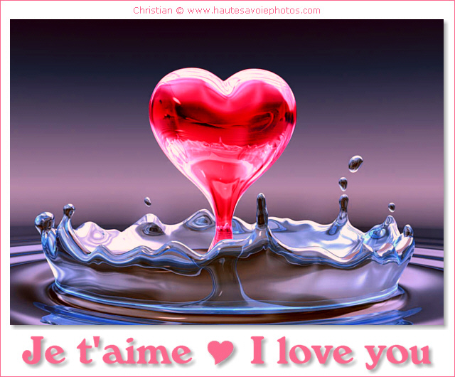chaton