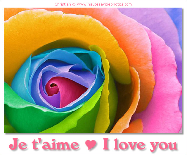 chaton