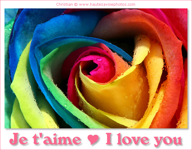 I love you