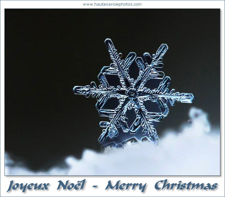 Joyeux Noël / Merry Christmas