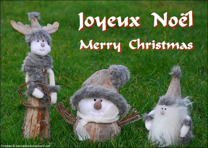 Joyeux Noël / Merry Christmas