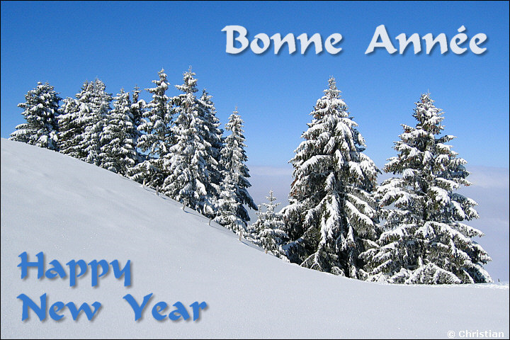 Carte de vœux / e-card for wishes