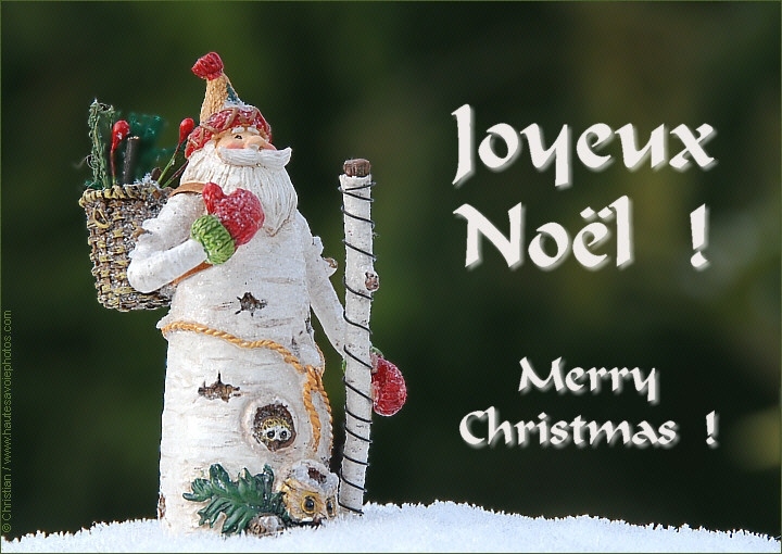 Joyeux Noël + Merry Christmas