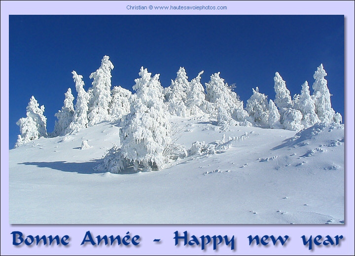 Bonne Année - Happy New Year
