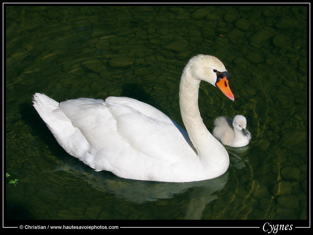 (clic-gauche : fermer / clic-droit : enregistrer)