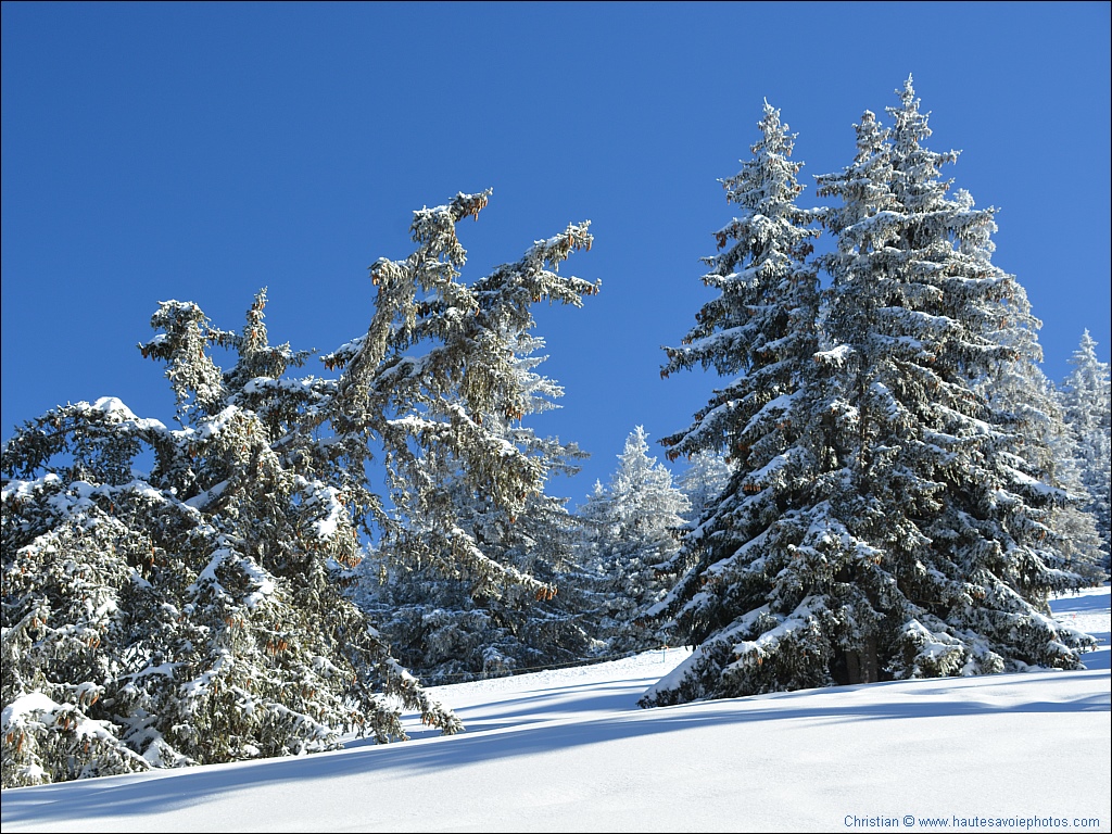 (clic-gauche : fermer / clic-droit : enregistrer)